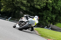 PJM-Photography;anglesey;brands-hatch;cadwell-park;croft;donington-park;enduro-digital-images;event-digital-images;eventdigitalimages;mallory;no-limits;oulton-park;peter-wileman-photography;racing-digital-images;silverstone;snetterton;trackday-digital-images;trackday-photos;vmcc-banbury-run;welsh-2-day-enduro